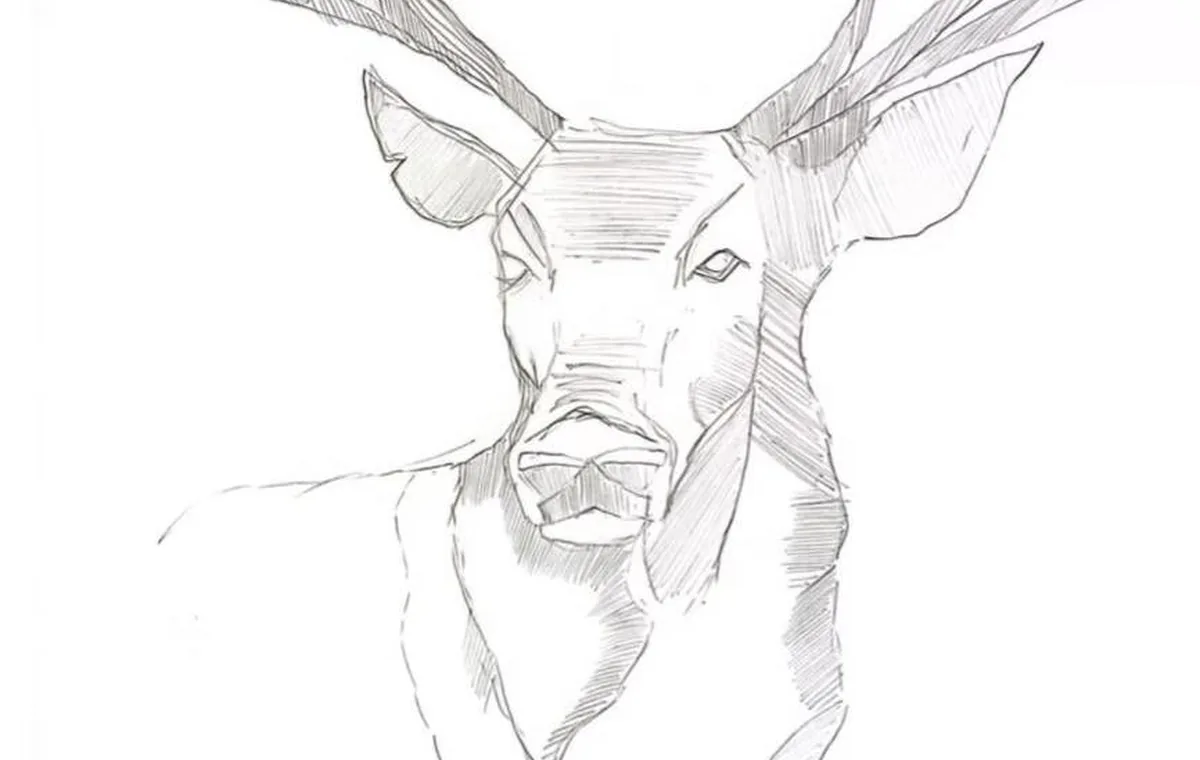 Detail of a pencil drawing from the collection