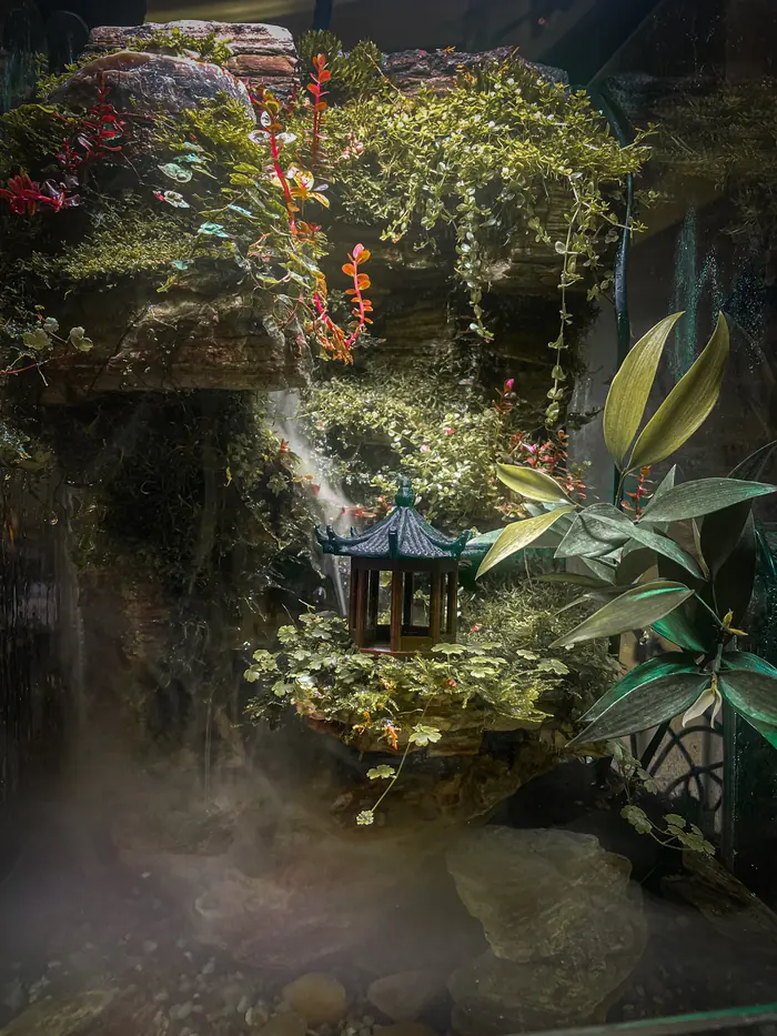 A lantern and pagoda in a planted water garden, lit through mist at night